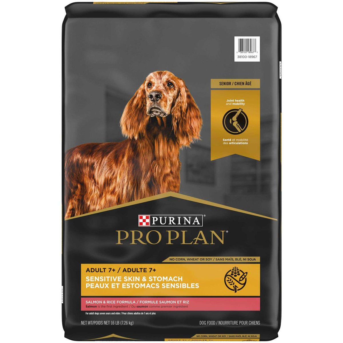 Salmon & Rice Senior Dry Dog Food Z386889