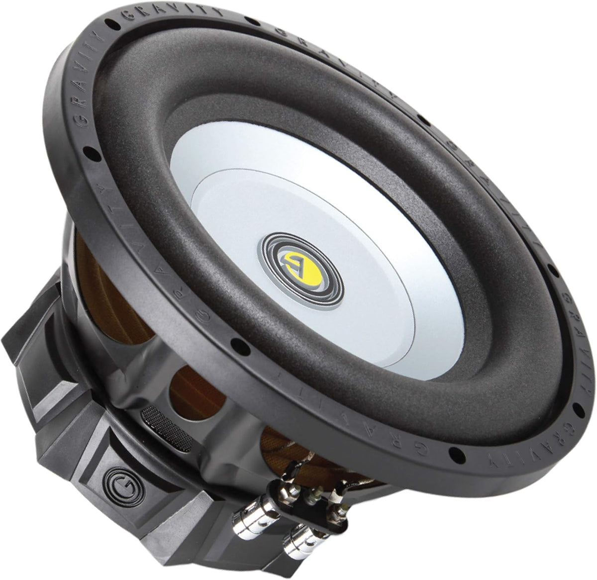 10 Inch 1000 Watt 4 Ohm DVC Car Audio Subwoofer P500