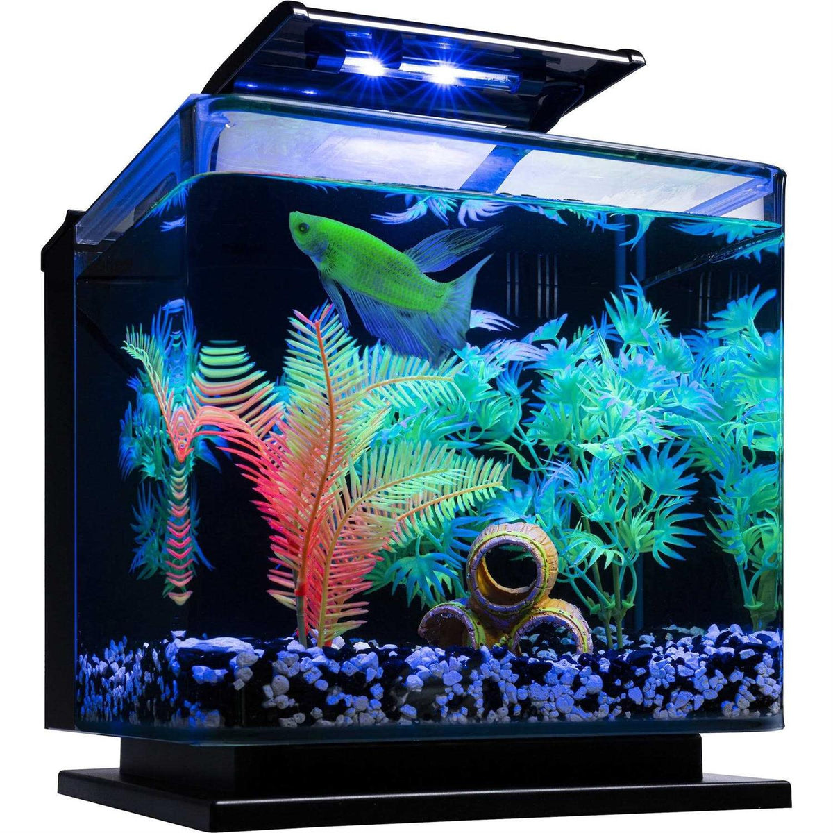Betta Fish Aquarium Kit F93440