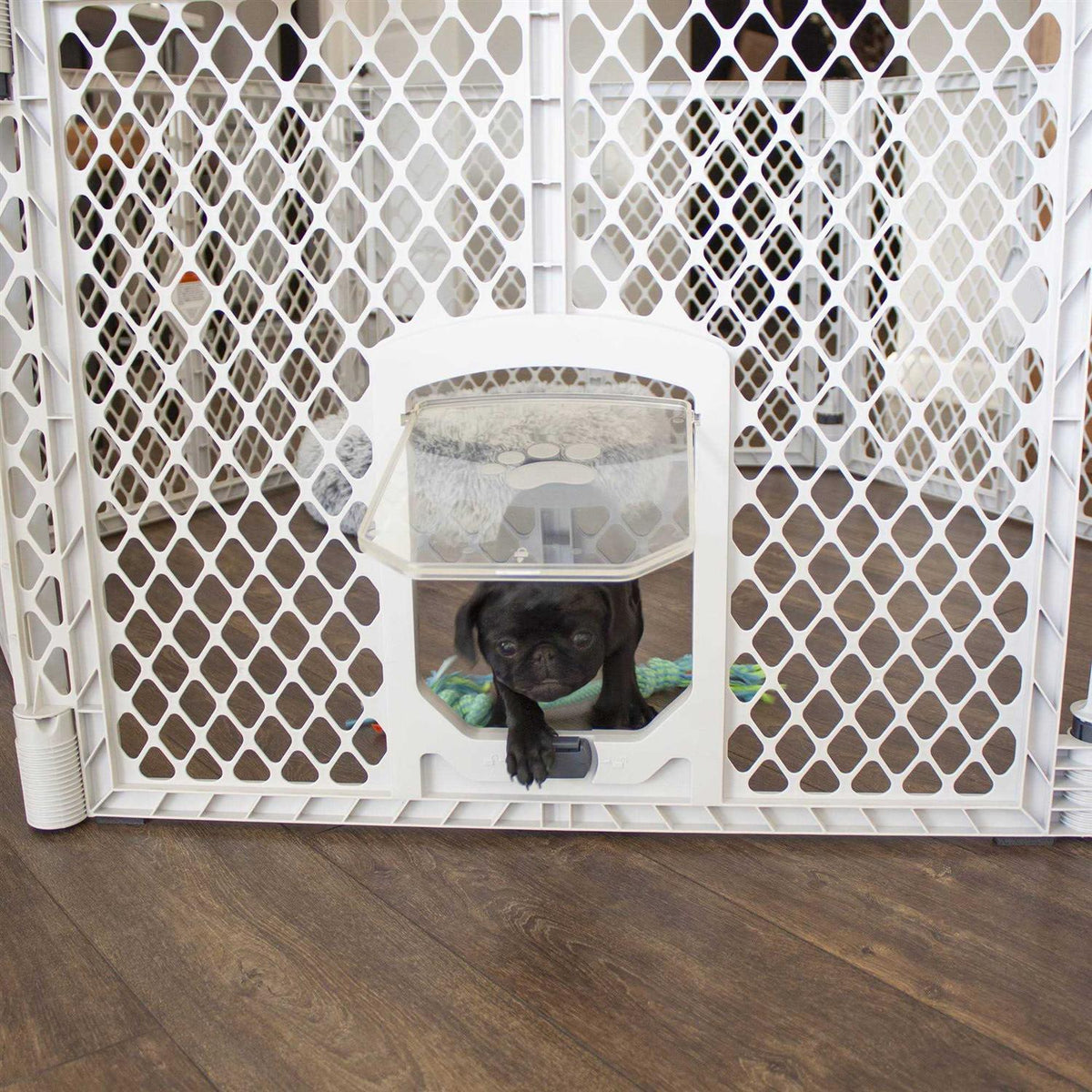 Pet Supplies Z275