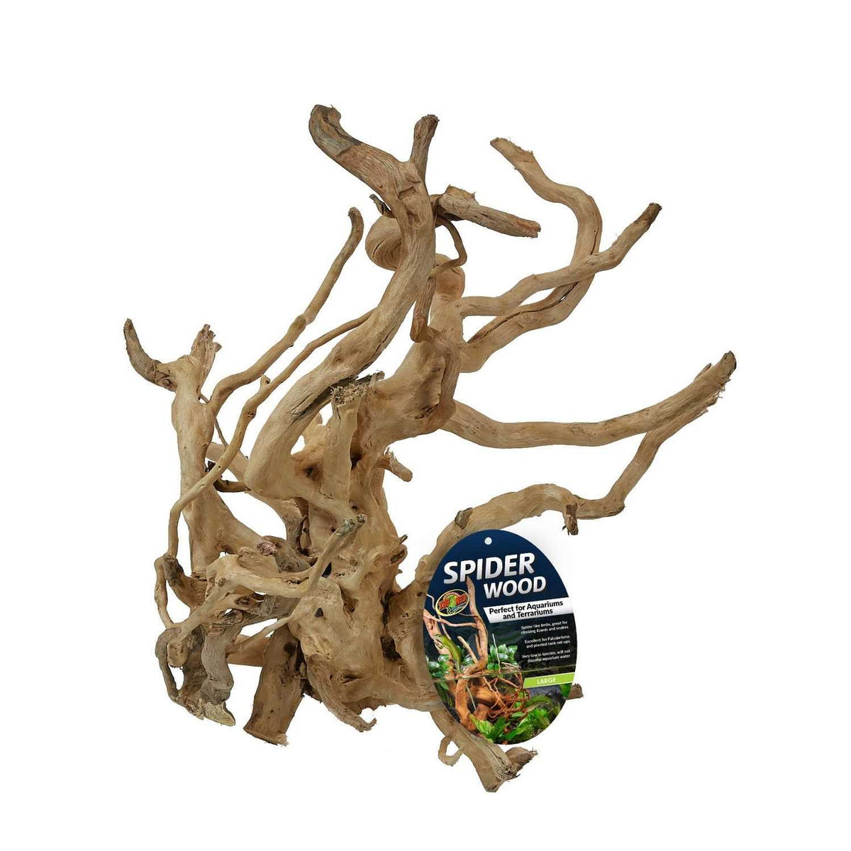 Spider Wood E81611