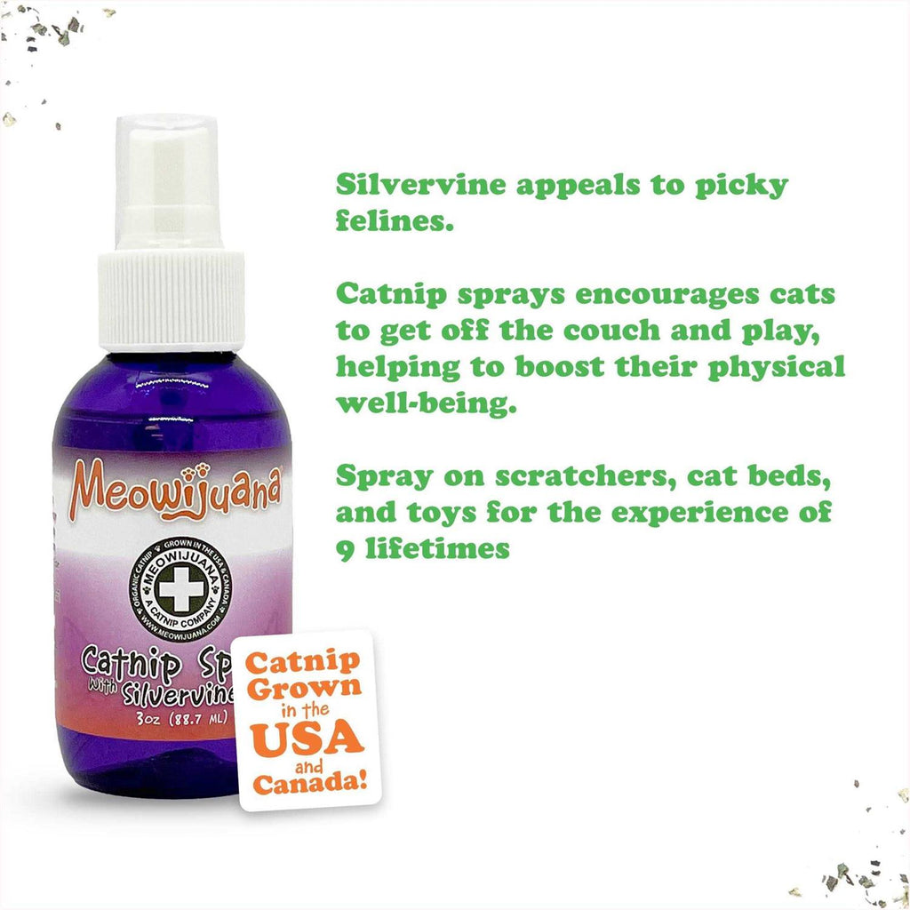 Catnip Spray with Silvervine L282