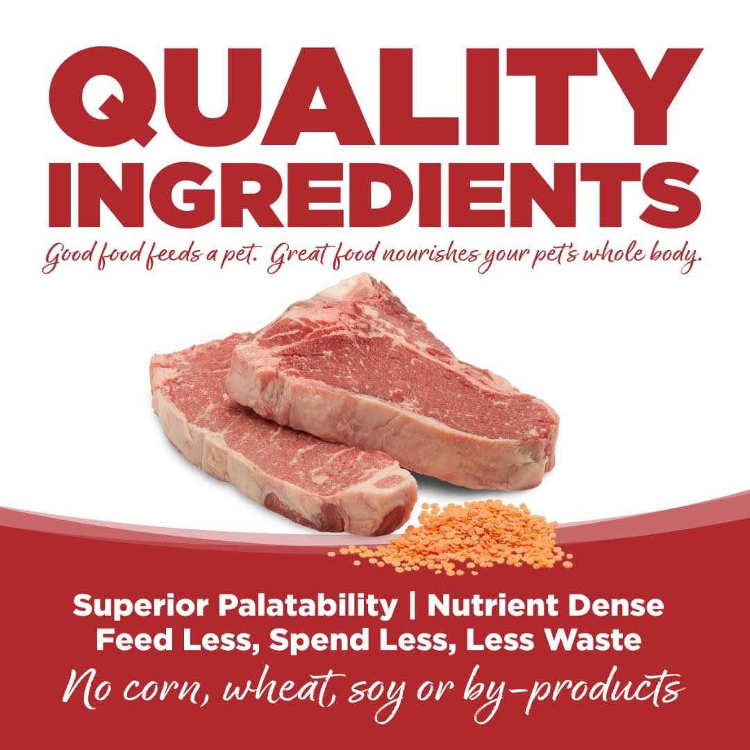 Beef & Red Lentils Grain Free Dry Dog Food M4092