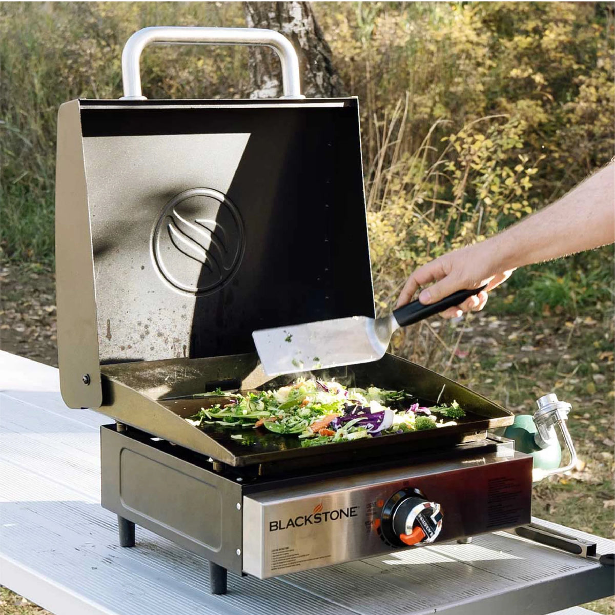 Tabletop Propane Griddle with Hood P562304