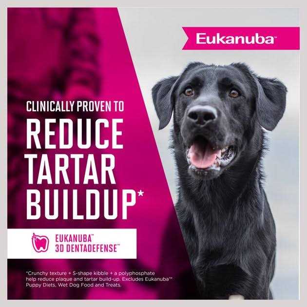 Senior Dry Dog Food F691173