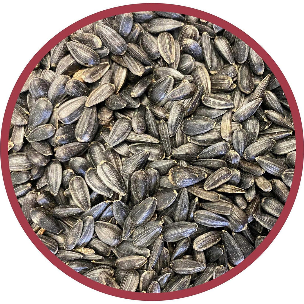 Black Oil Sunflower Seed Wild Bird Feed F39190
