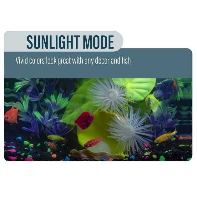 Betta Fish Aquarium Kit F93440