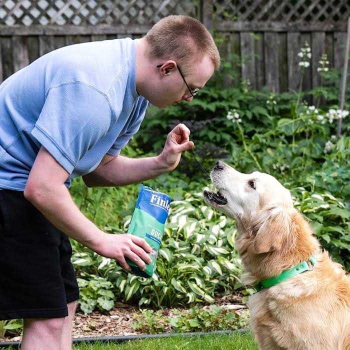 Soft Chew Dog Treats Training Bites S93814