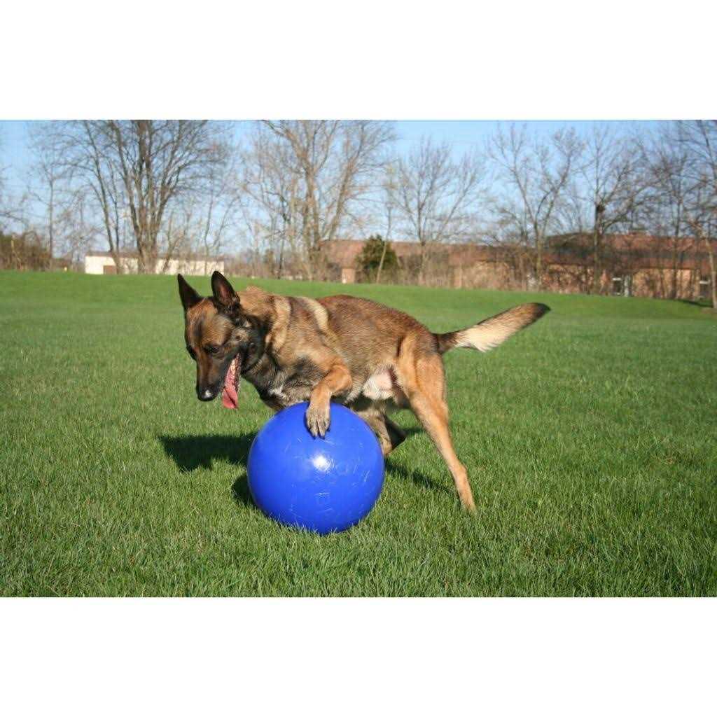 Pet Supplies O865