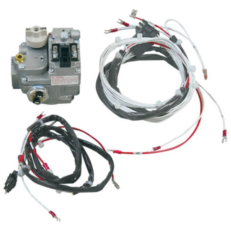 OEM GAS Valve w/ Harness Y3710