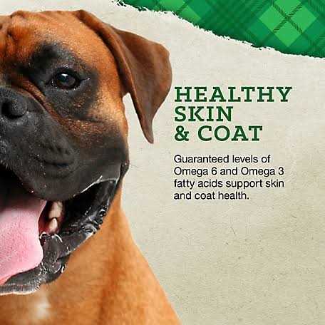 Puppy Large Breed Chicken & Brown Rice Y262