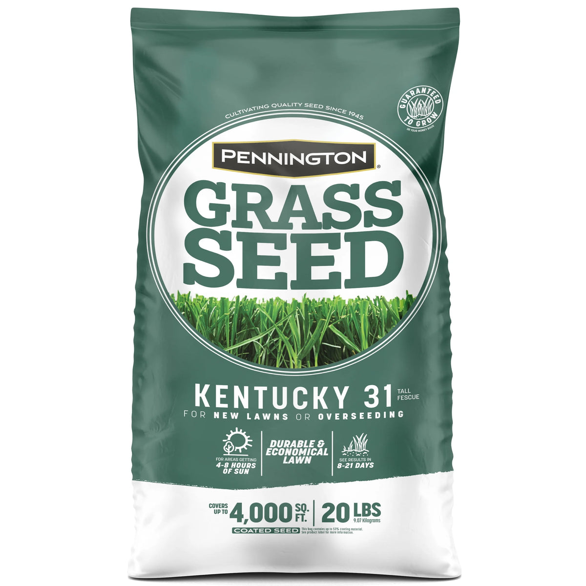 Kentucky 31 Tall Fescue Grass Seed, 20 lb. S94315