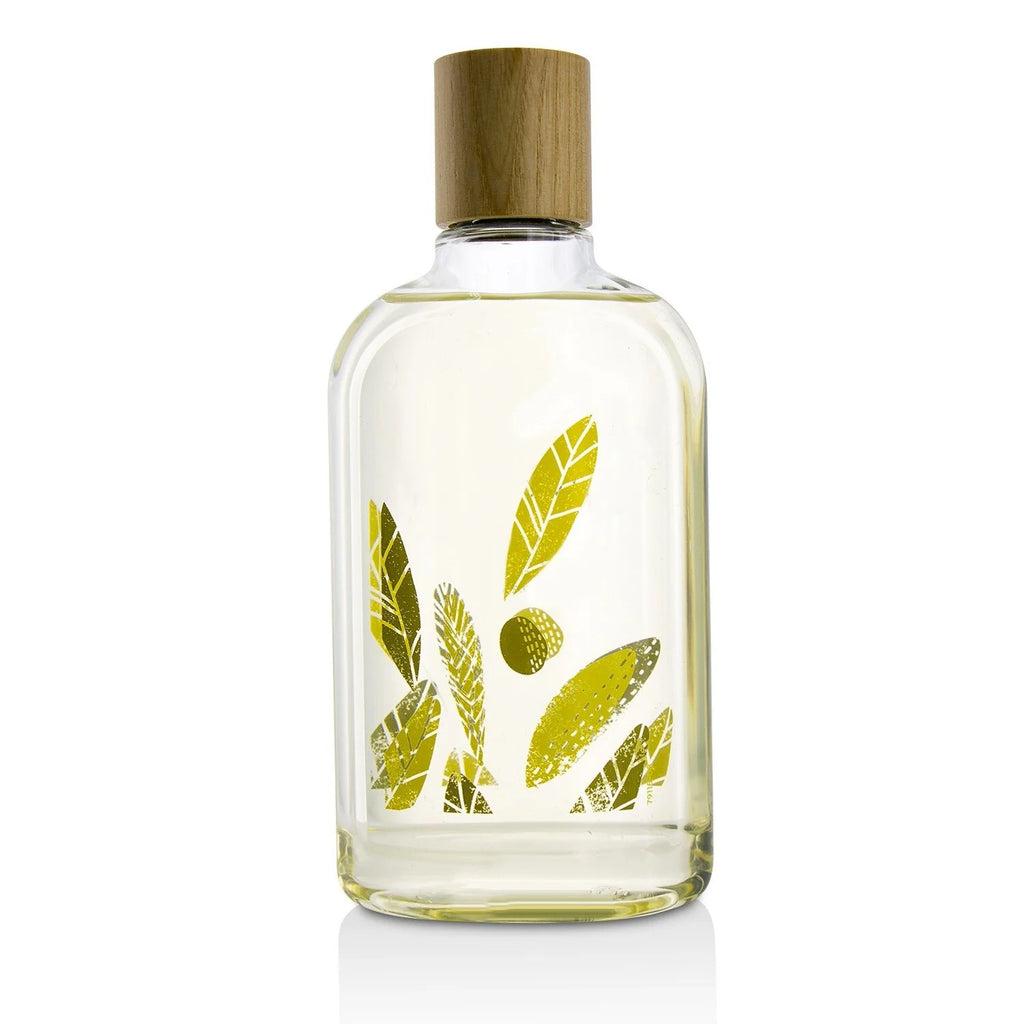 Olive Leaf Body Wash 9.25oz D960601