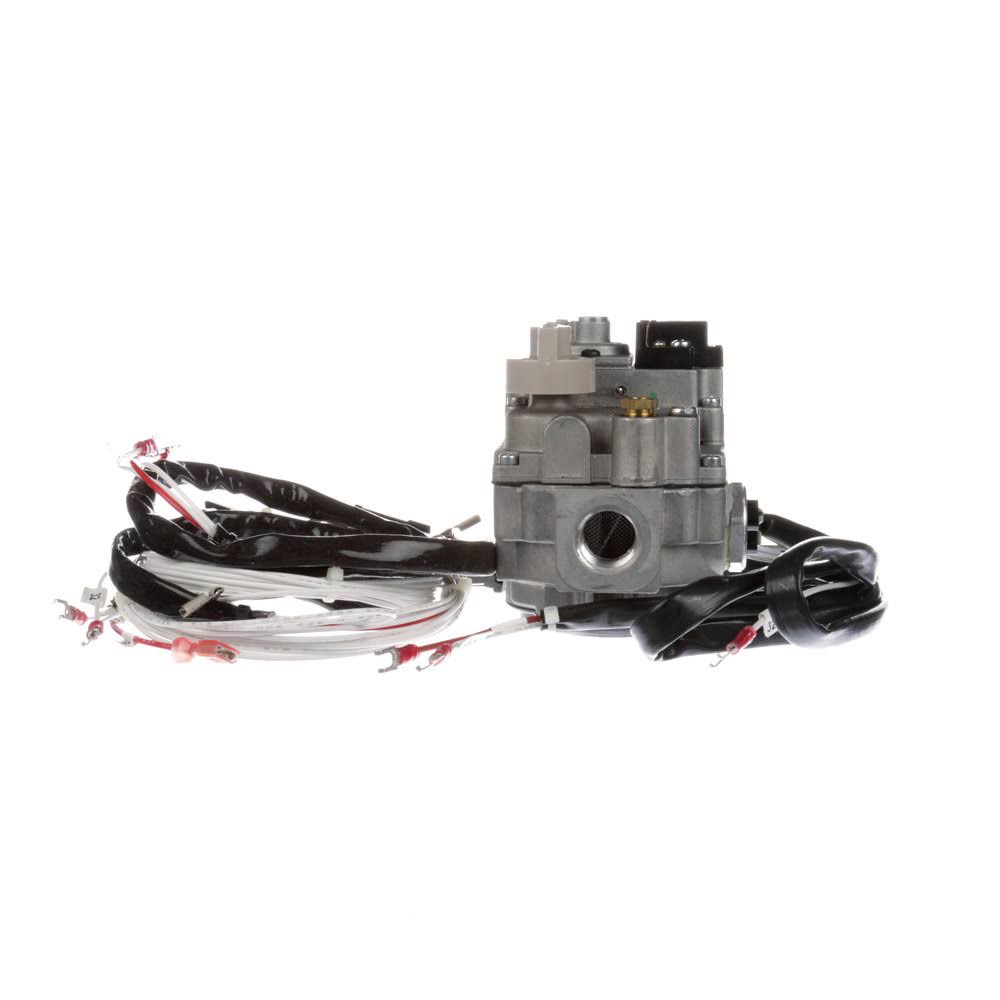 OEM GAS Valve w/ Harness Y3710