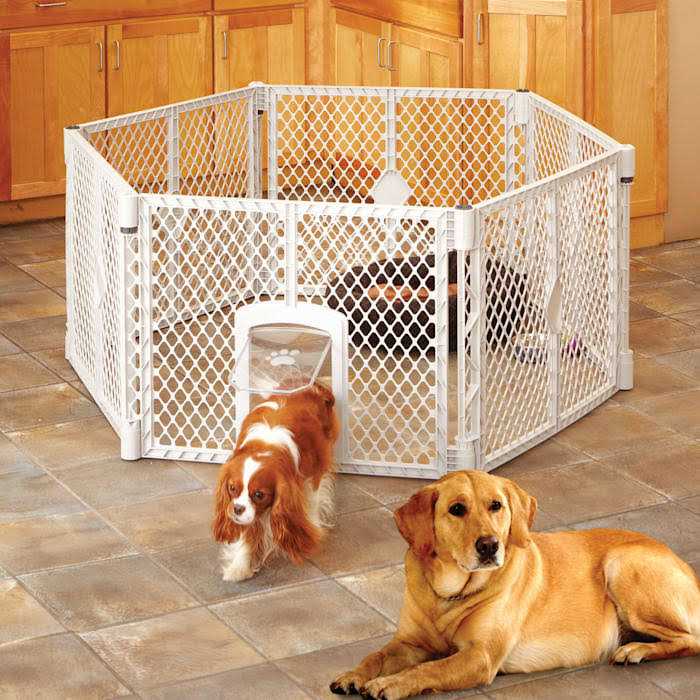 Pet Supplies Z275