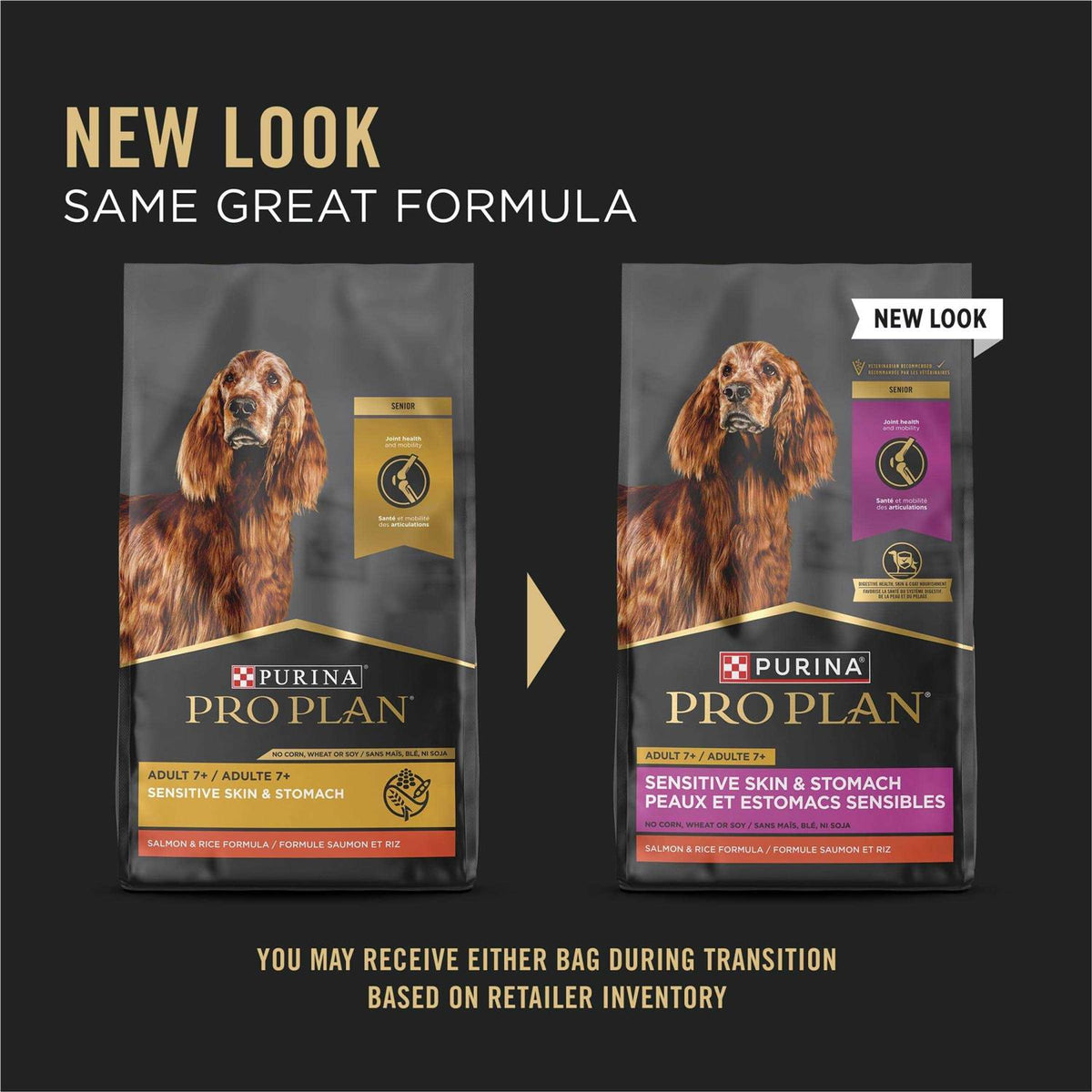 Salmon & Rice Senior Dry Dog Food Z386889