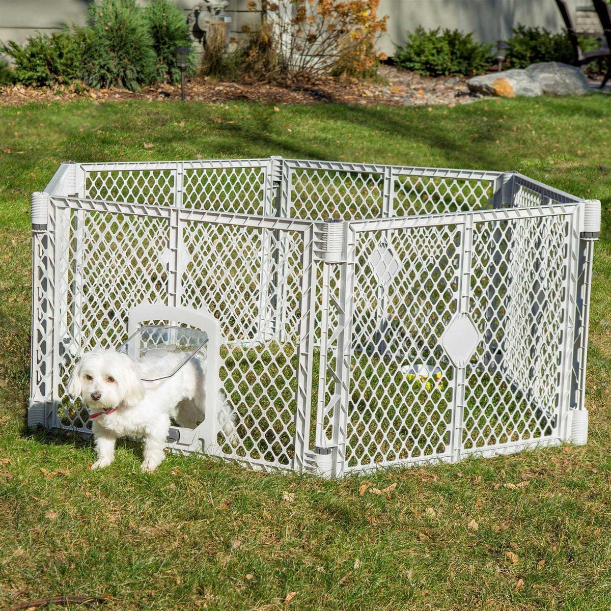 Pet Supplies Z275