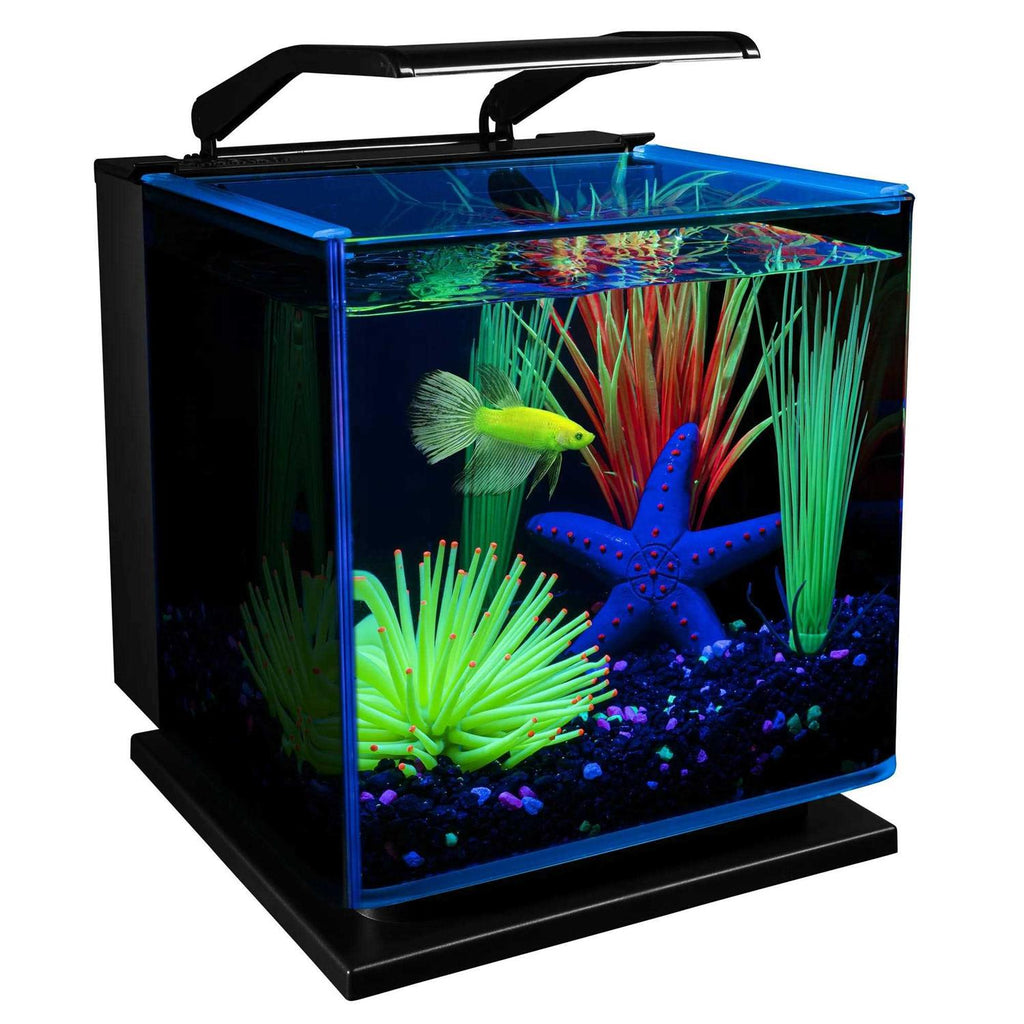 Betta Fish Aquarium Kit F93440