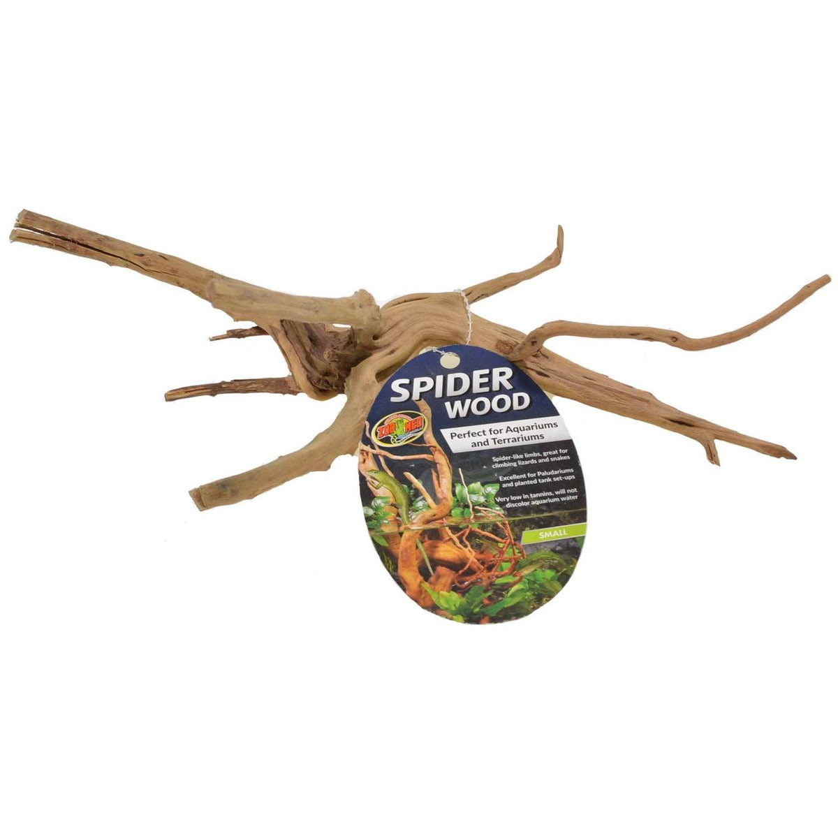 Spider Wood E81611