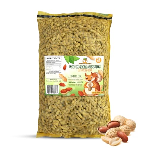 25 Pound Raw Peanuts in Shell Y14472