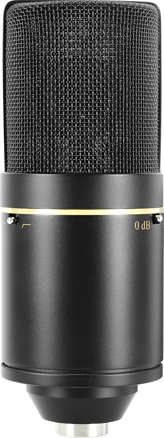 Cardioid Condenser Microphone E679