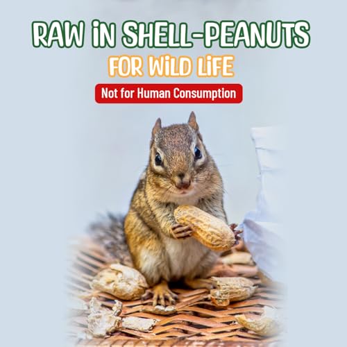 25 Pound Raw Peanuts in Shell Y14472
