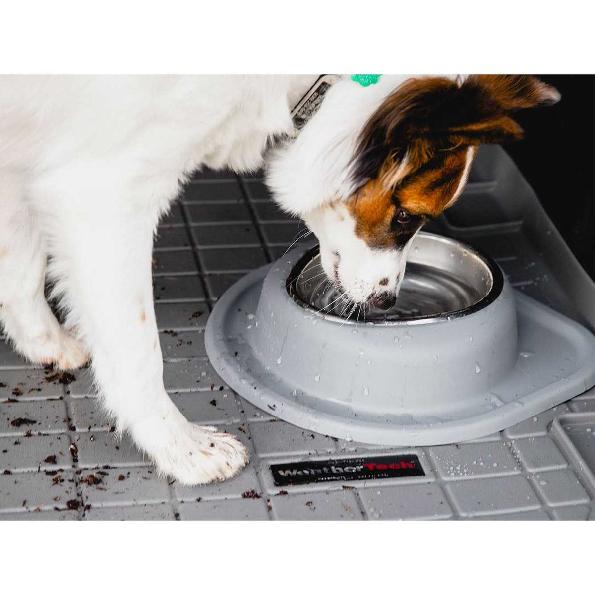 Double High Pet Feeding System K60988