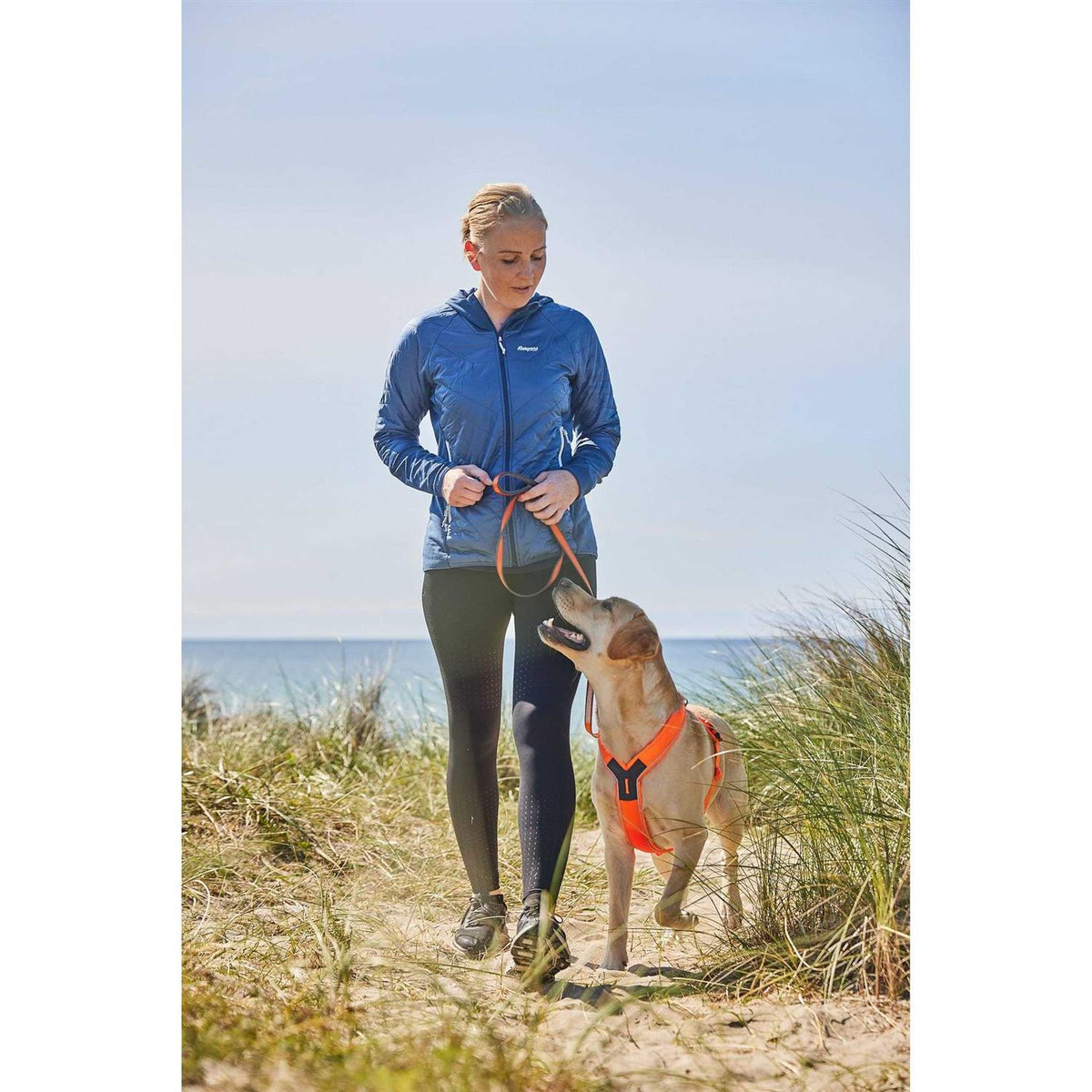 Dog Harness Z9582