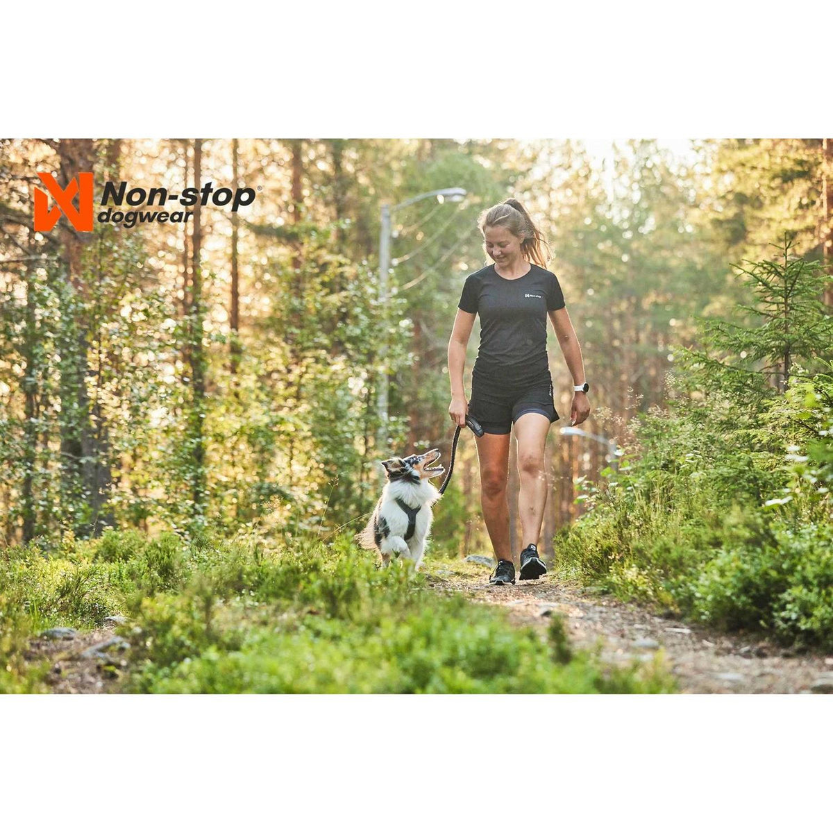 Dog Harness Z9582