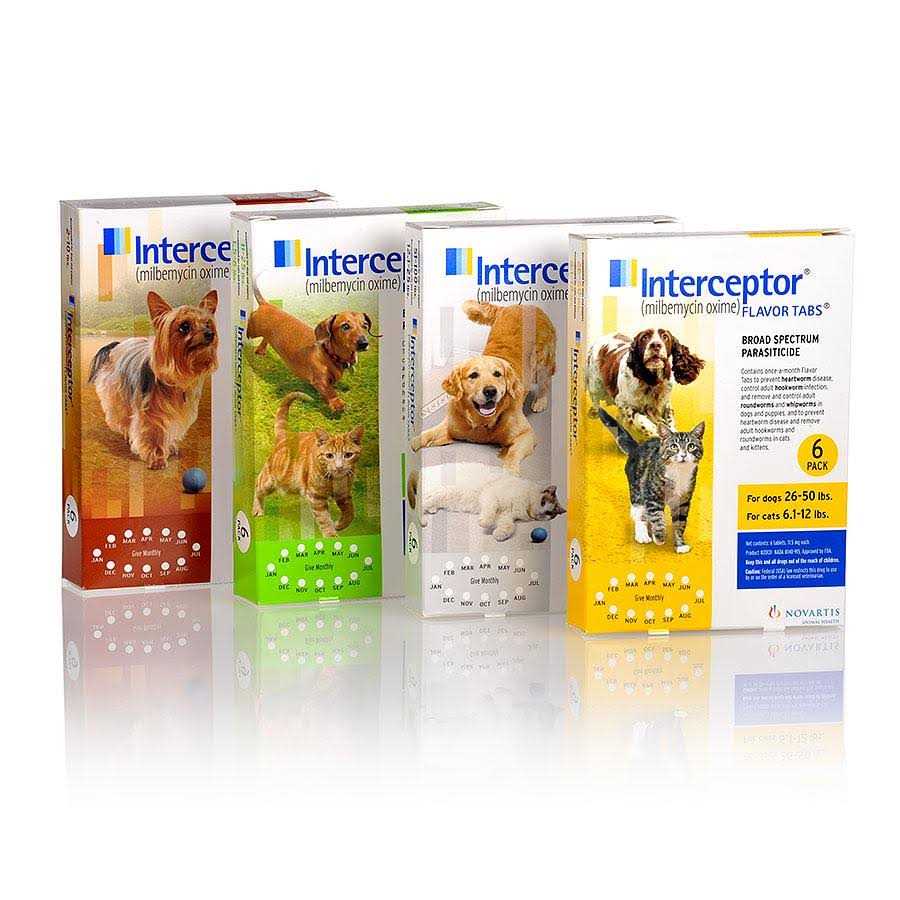 12 Month Supply Pet Supplies E42364