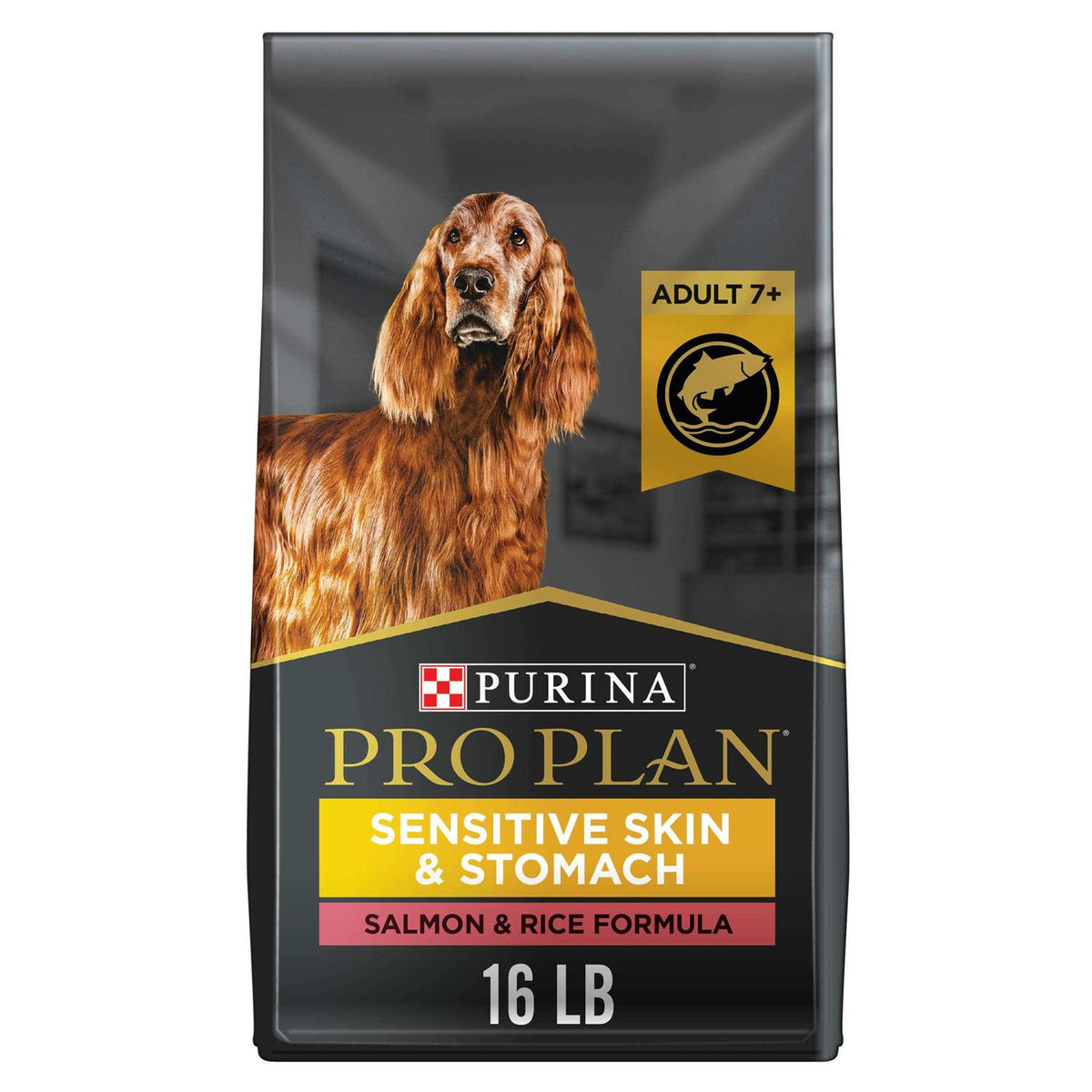 Salmon & Rice Senior Dry Dog Food Z386889
