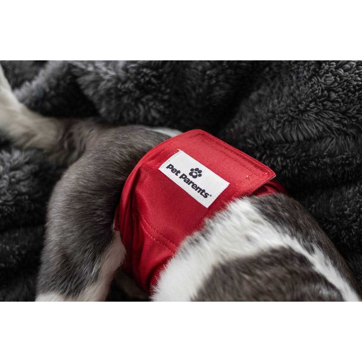 Washable Dog Belly Bands X76424