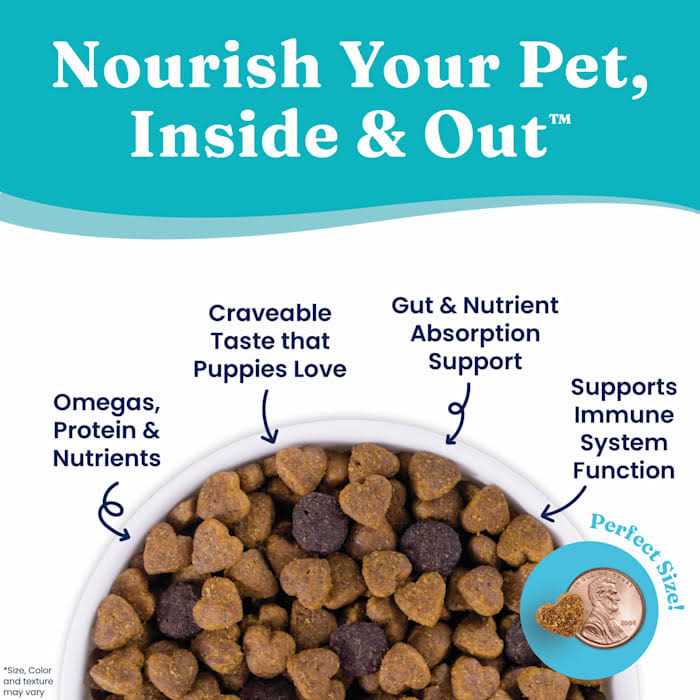Solid Gold Chicken Dry Dog Food J62751