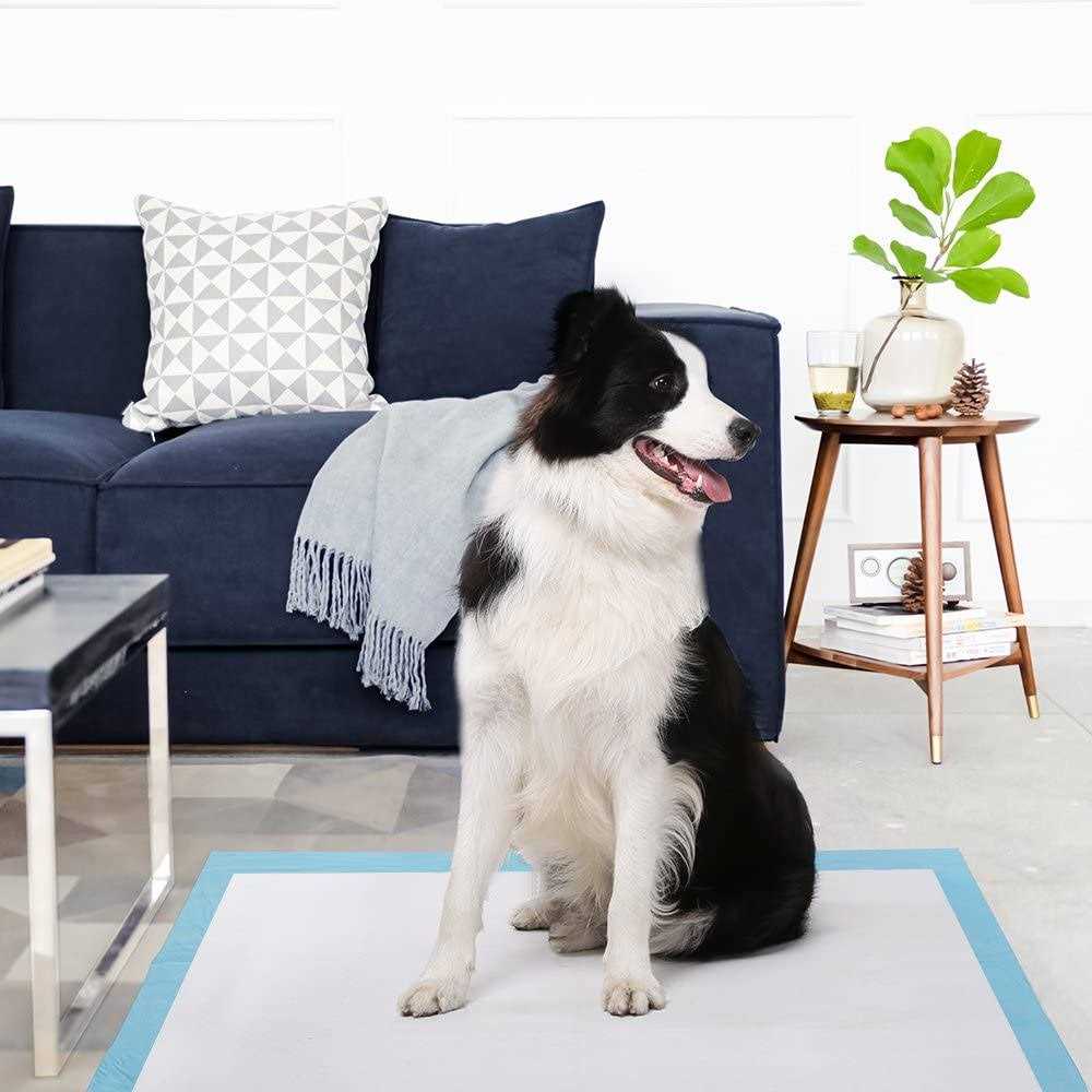 Large Super Absorbent Leak-Proof Pet Training Pads F5023