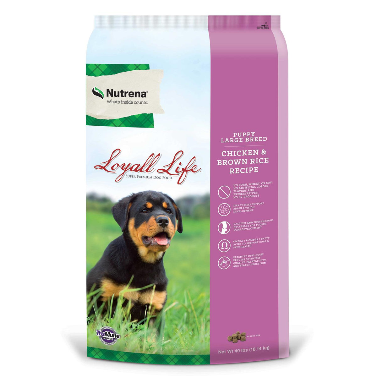 Puppy Large Breed Chicken & Brown Rice Y262