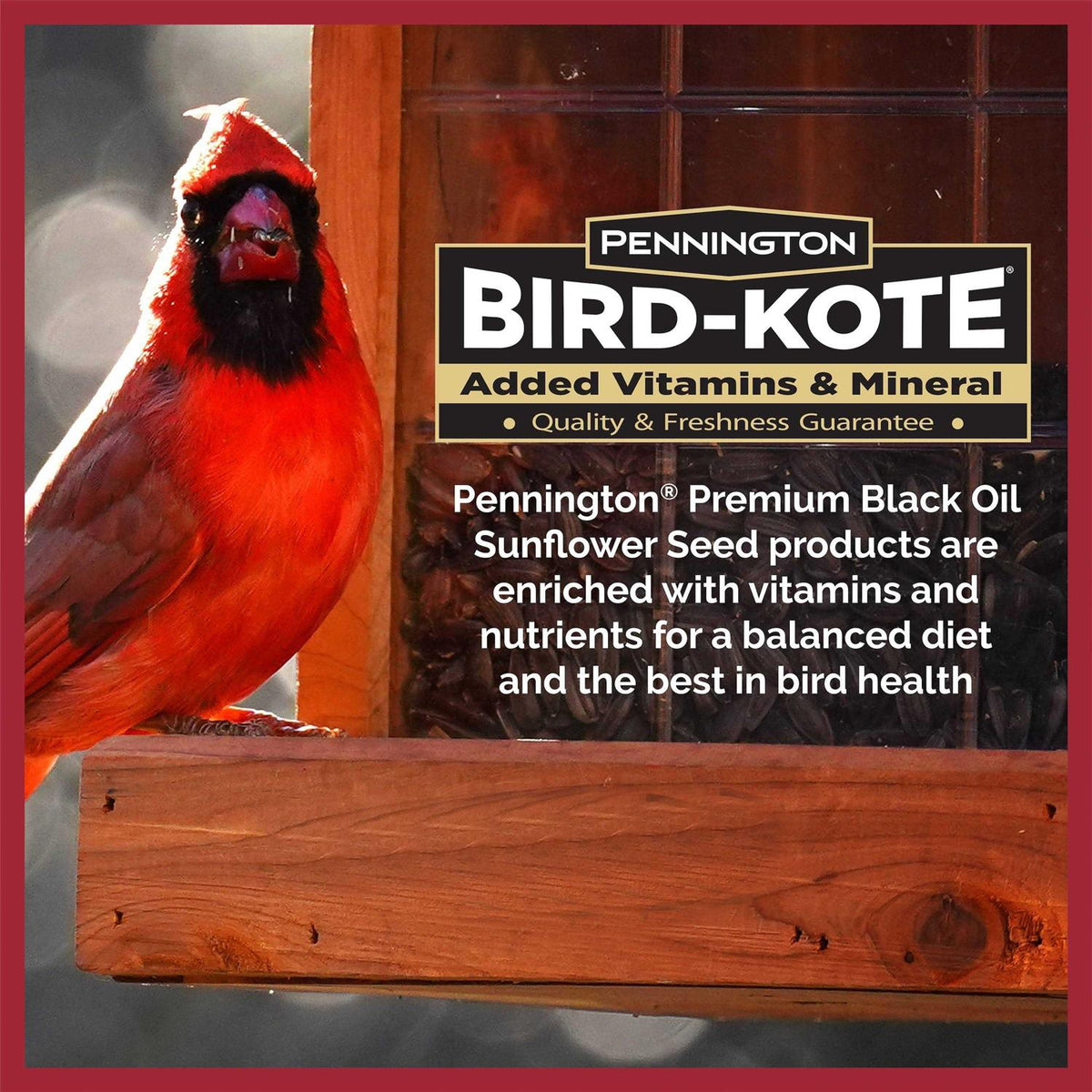 Black Oil Sunflower Seed Wild Bird Feed F39190