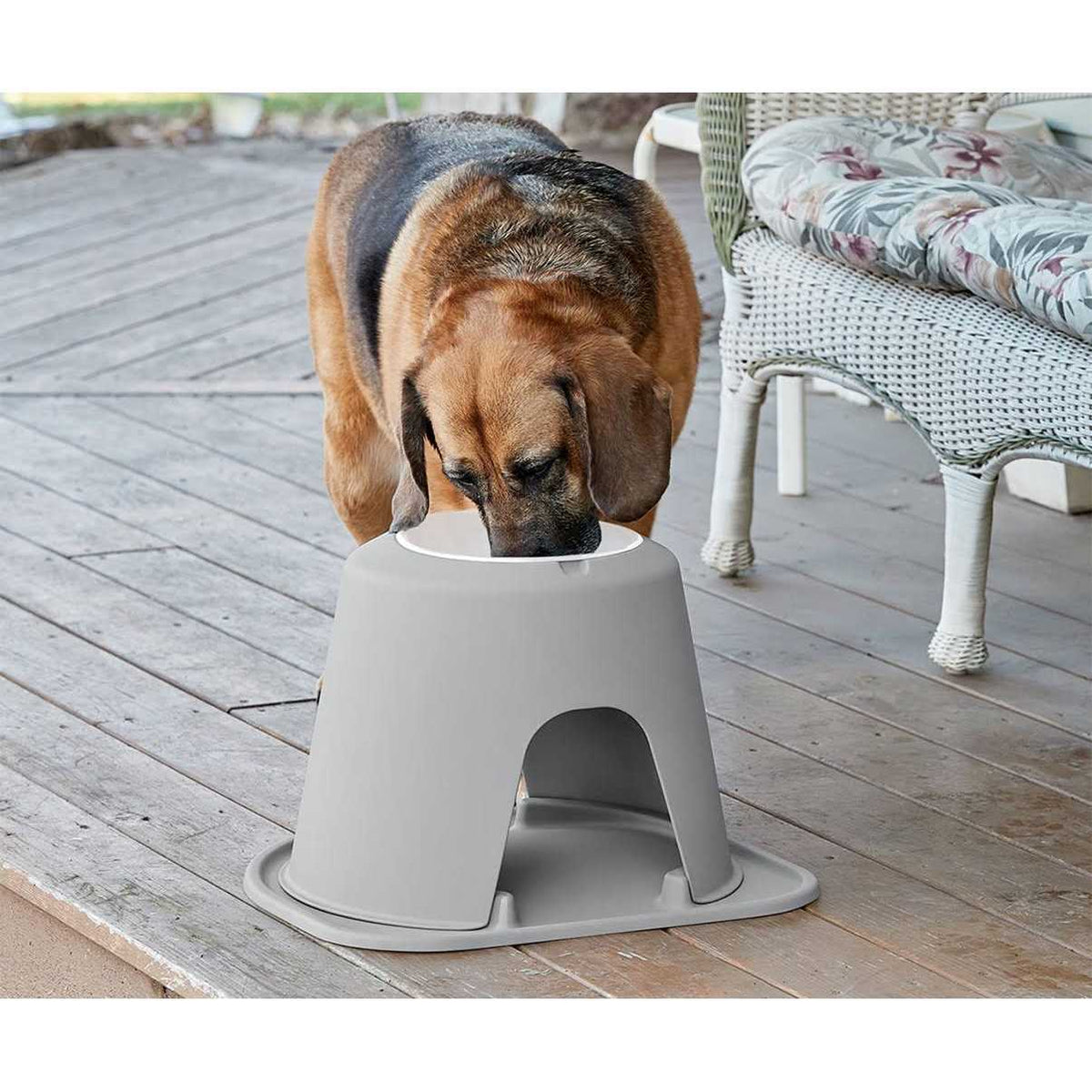 Double High Pet Feeding System K60988