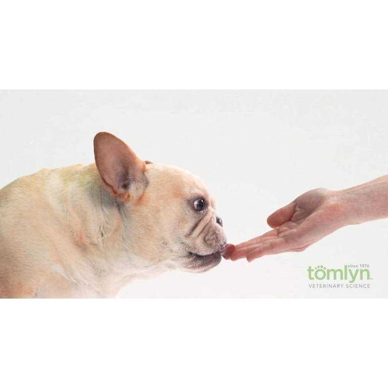 High Calorie Nutritional Gel for Dogs O3646